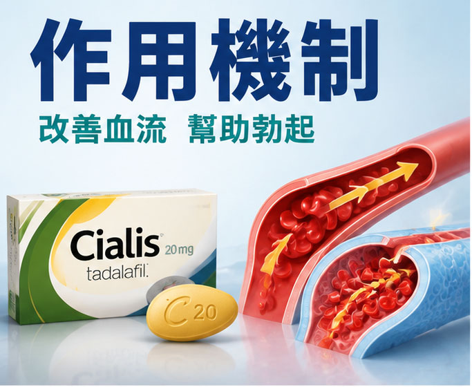 犀利士的真實作用機制：它到底怎麼發揮效果